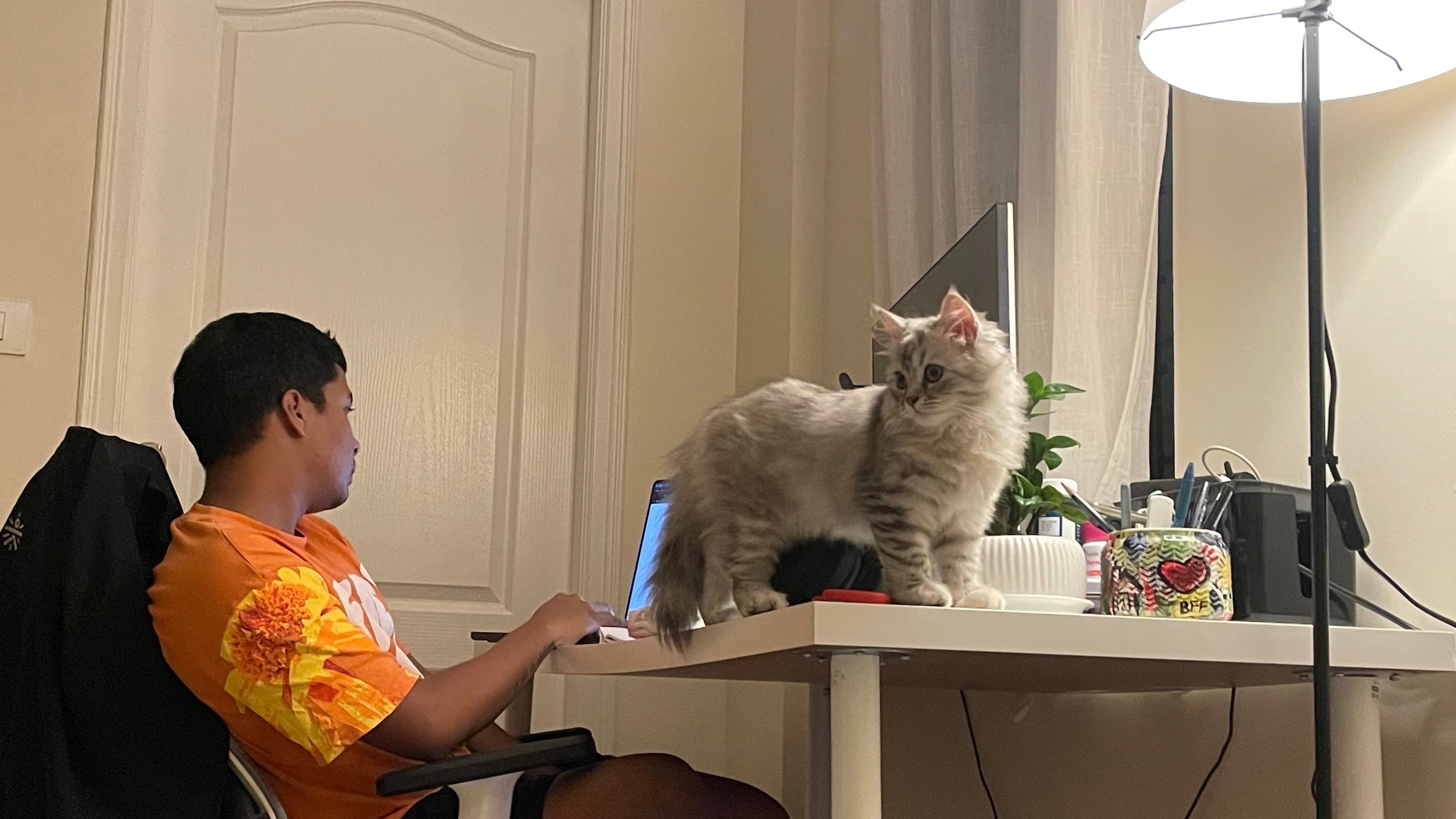 Random evening, Bangalore, 2025